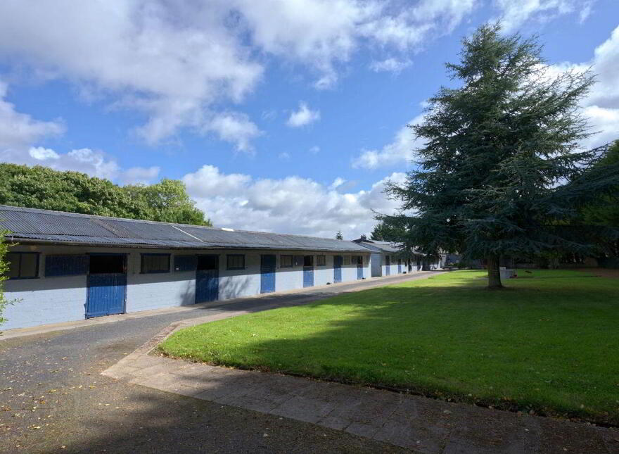 Mount Prospect Stud, Mount Prospect, Rathangan, R51X337