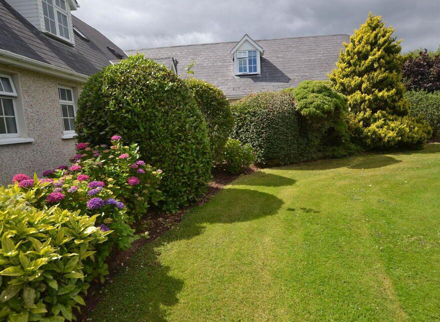 Saint Theresa's, Mount Alexander, Gorey, Y25P285