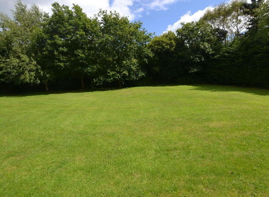 Saint Theresa's, Mount Alexander, Gorey, Y25P285