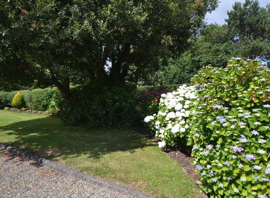 Saint Theresa's, Mount Alexander, Gorey, Y25P285