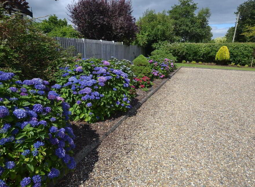 Saint Theresa's, Mount Alexander, Gorey, Y25P285