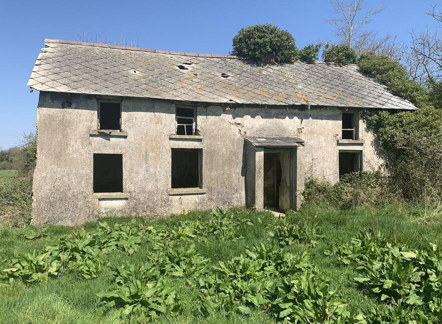 Ballyvadden, Kilmuckridge photo