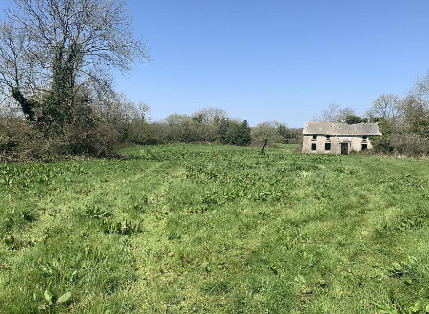 Ballyvadden, Kilmuckridge