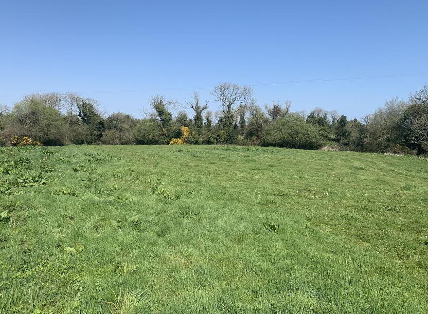 Ballyvadden, Kilmuckridge