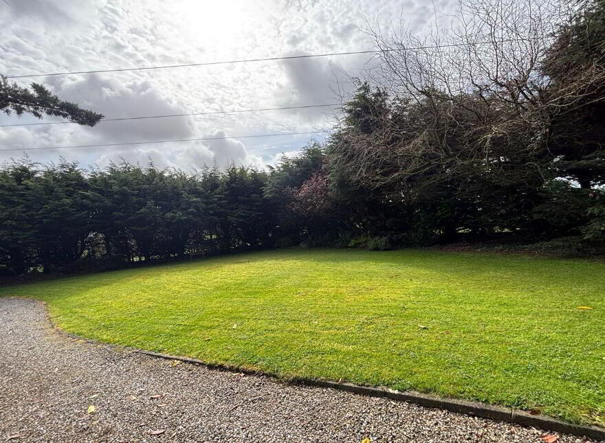 The Old Forge, Ballyduff, Ballyduff, Y21A8X6