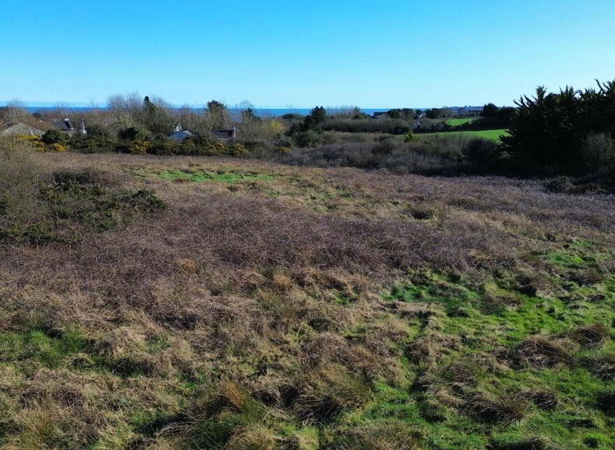 Roney Point, Gorey