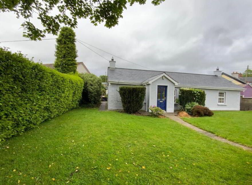 Lower Jenkinstown, Jenkinstown, A91F773
