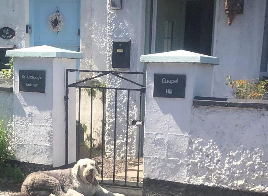 Chapel Hill, Carlingford, Dundalk, A91E788