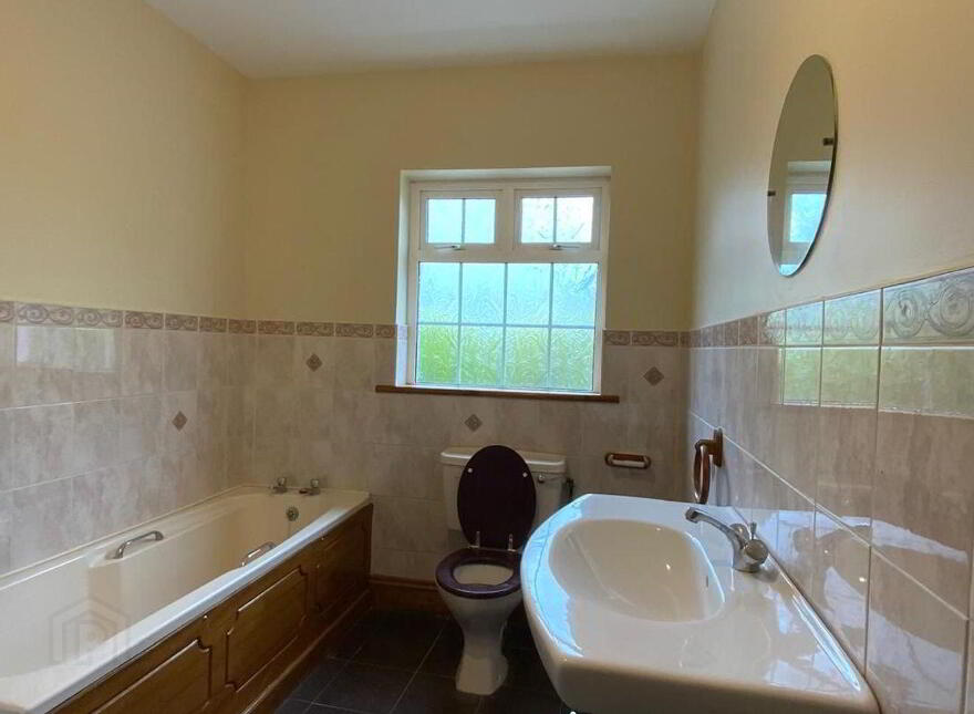 Lower Jenkinstown, Jenkinstown, A91F773