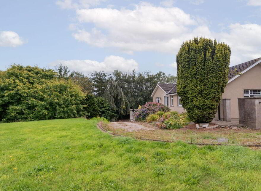 Dunbin, Knockbridge, A91A990