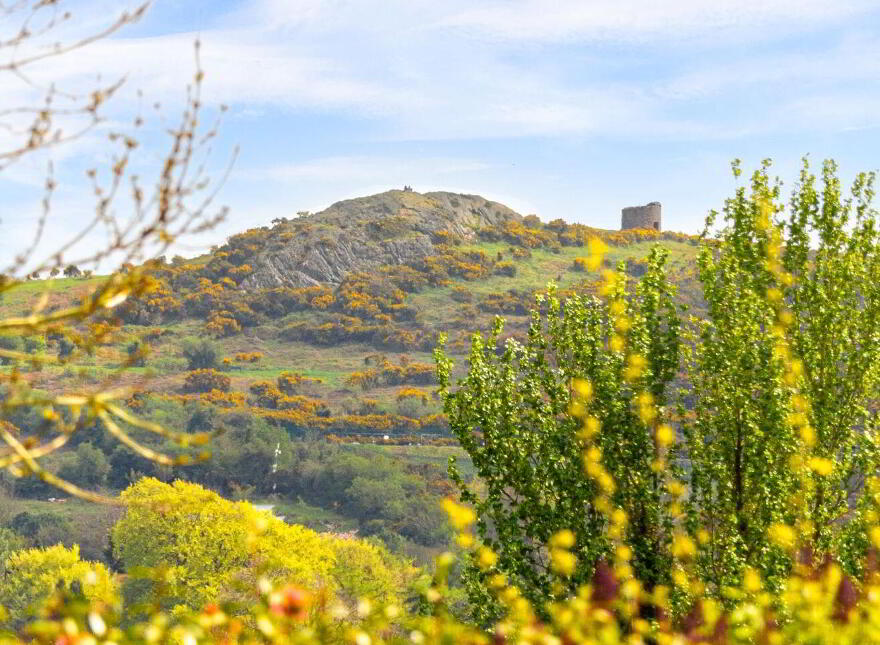 Villa Nova And Nursery Cottage, The Moyne, Enniscorthy, Y21W6R3