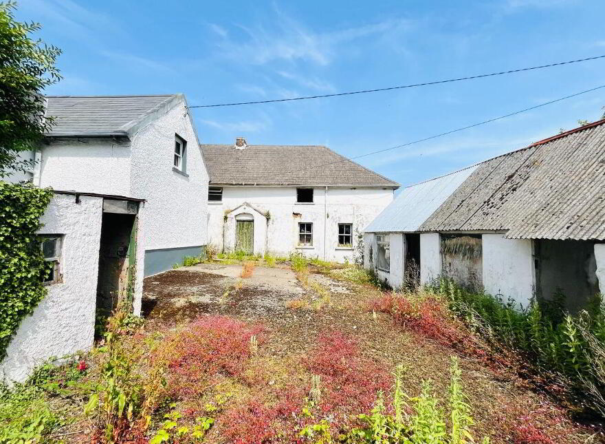 The Raven, Curracloe, Y21NH21