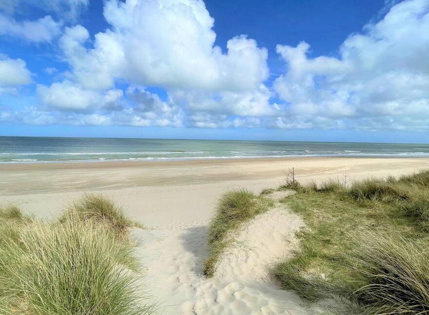 The Raven, Curracloe, Y21NH21