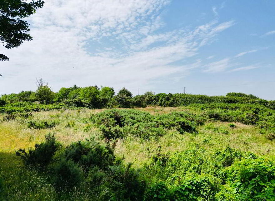 Kilmacoe, Curracloe, Y21PN20