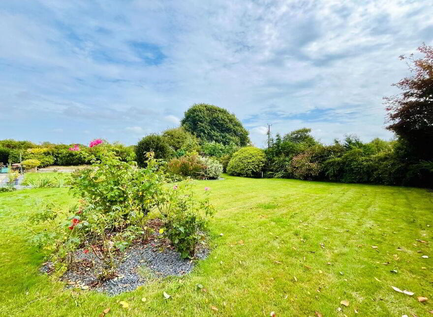 Knockduff Lane, Bree, Enniscorthy, Y21XY82