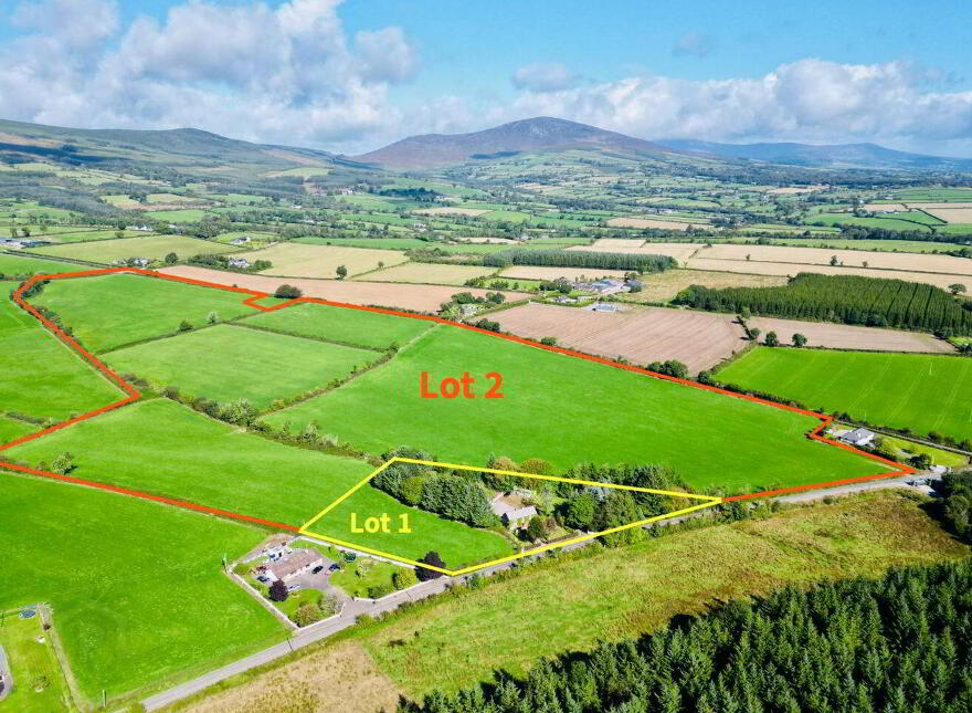 Monamolin, Rathnure, Y21T253