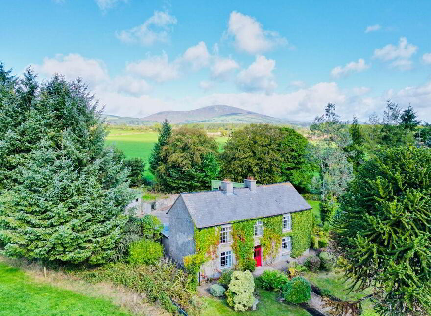 Monamolin, Rathnure, Y21T253