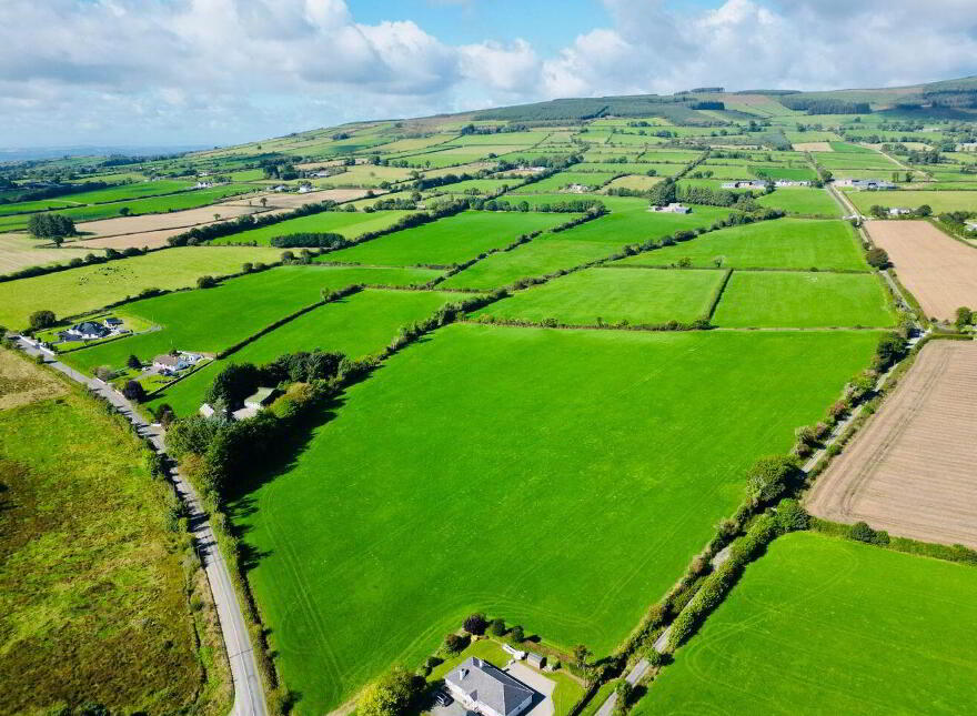 Monamolin, Rathnure, Y21T253
