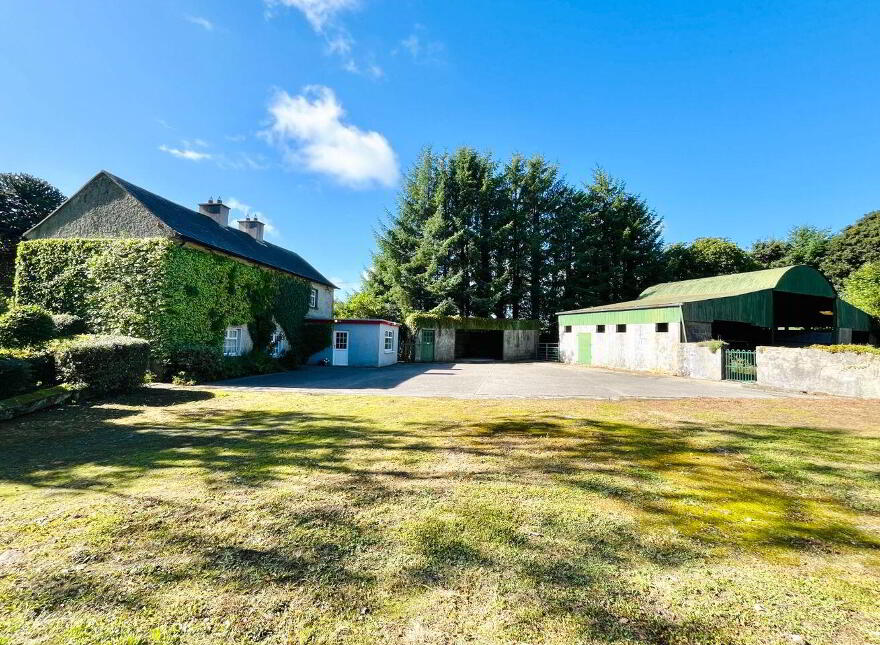Monamolin, Rathnure, Y21T253