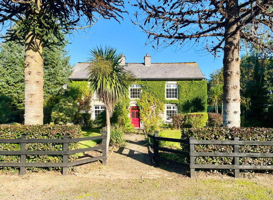 Monamolin, Rathnure, Y21T253