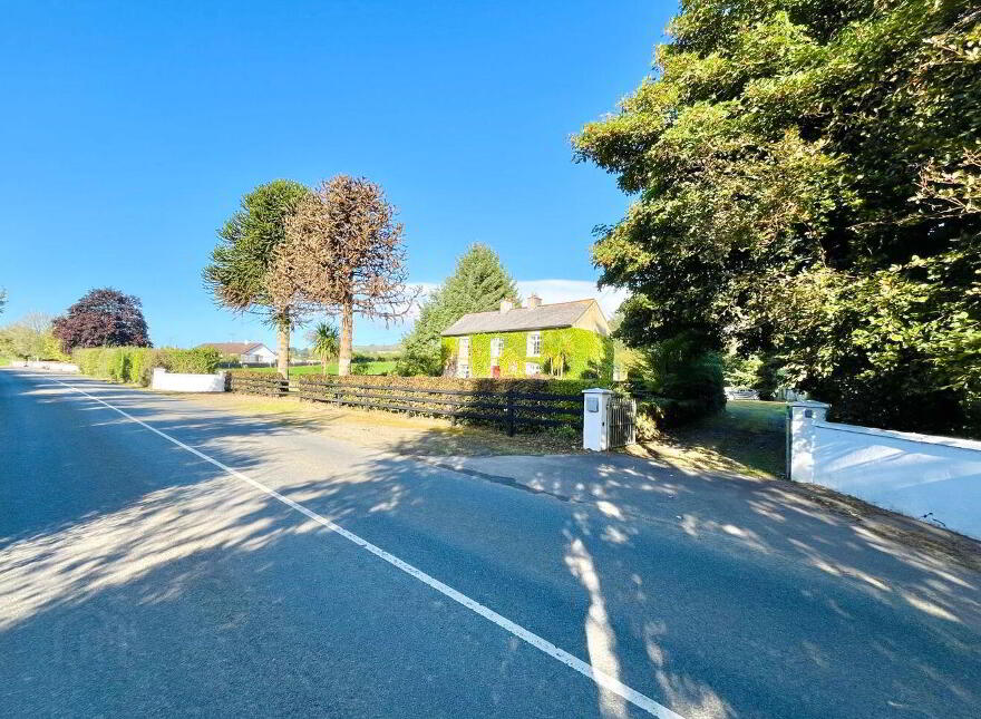 Monamolin, Rathnure, Y21T253