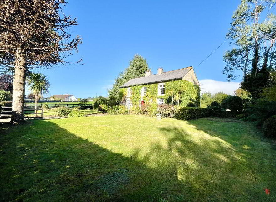 Monamolin, Rathnure, Y21T253