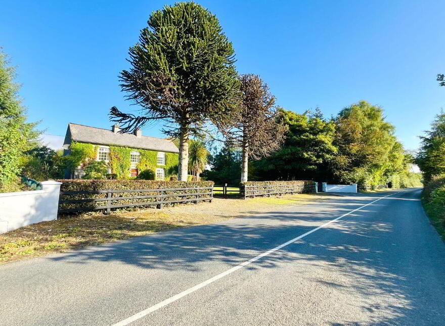 Monamolin, Rathnure, Y21T253