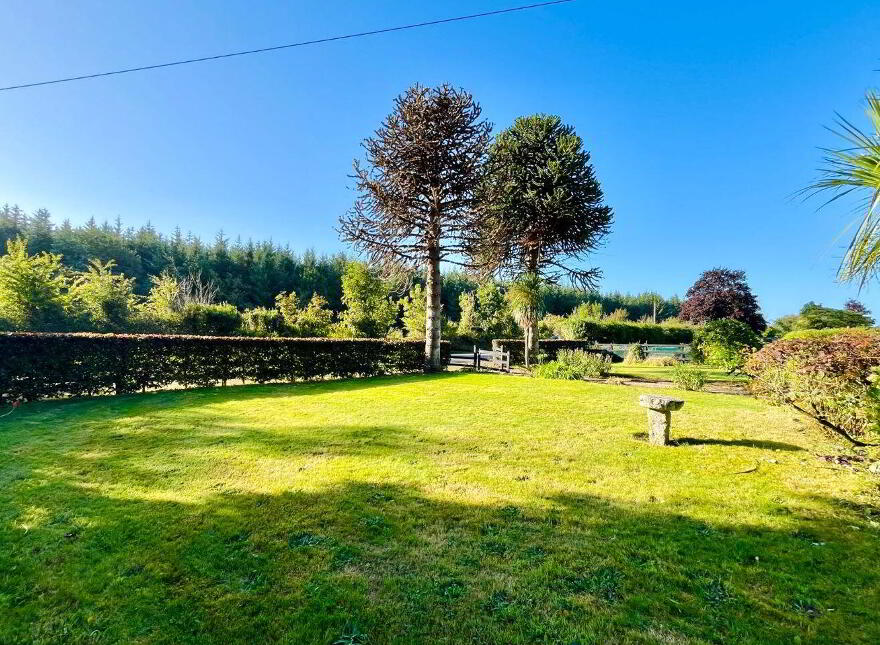 Monamolin, Rathnure, Y21T253