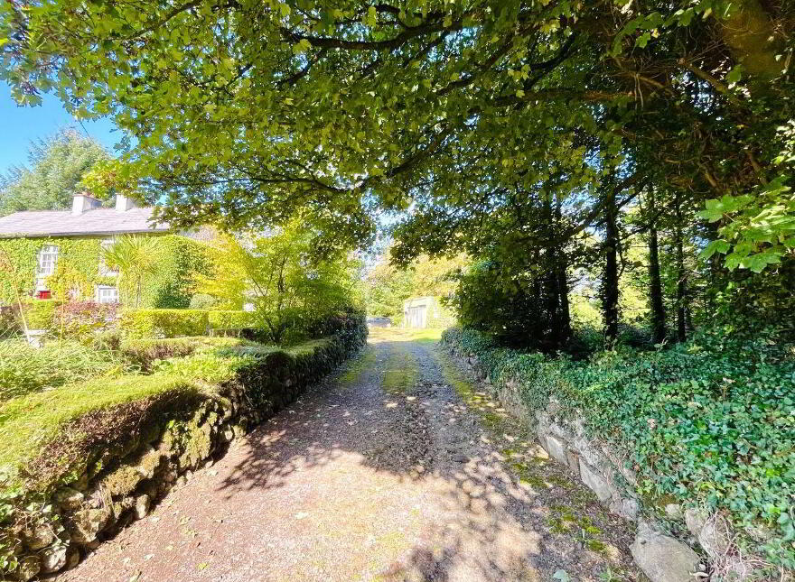 Monamolin, Rathnure, Y21T253