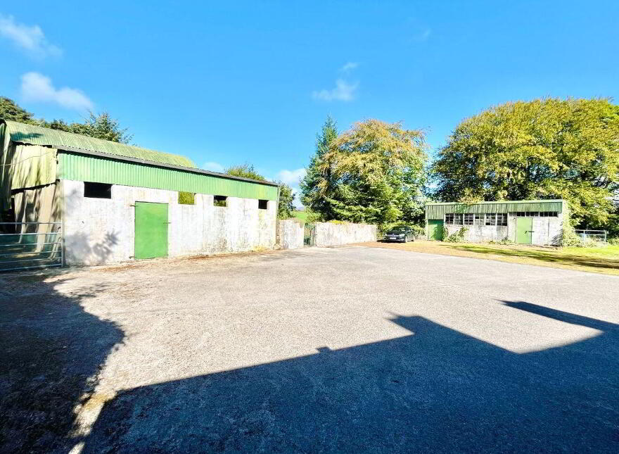 Monamolin, Rathnure, Y21T253