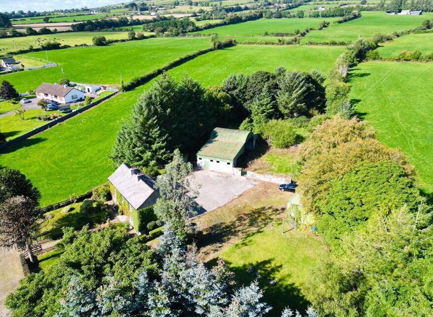 Monamolin, Rathnure, Y21T253