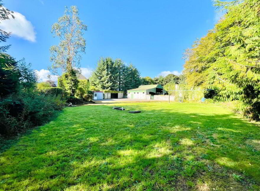 Monamolin, Rathnure, Y21T253
