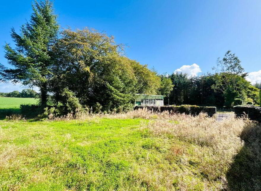 Monamolin, Rathnure, Y21T253