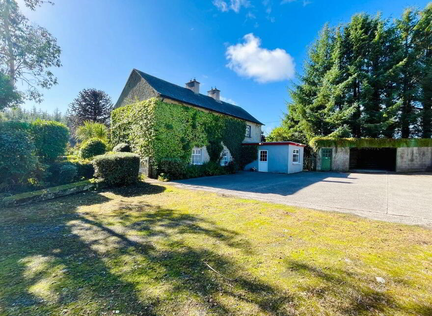 Monamolin, Rathnure, Y21T253