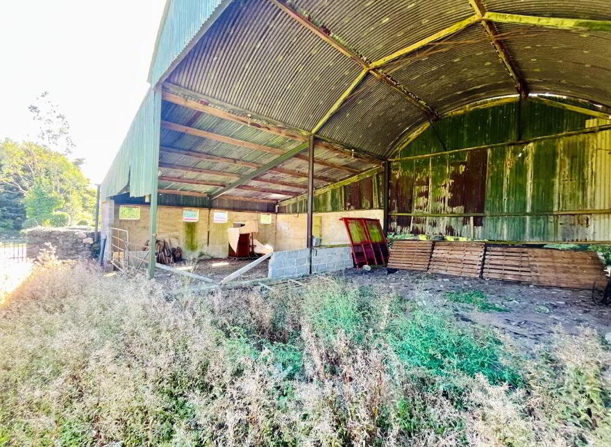 Monamolin, Rathnure, Y21T253