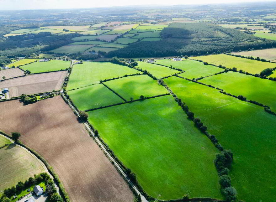 Monamolin, Rathnure, Y21T253