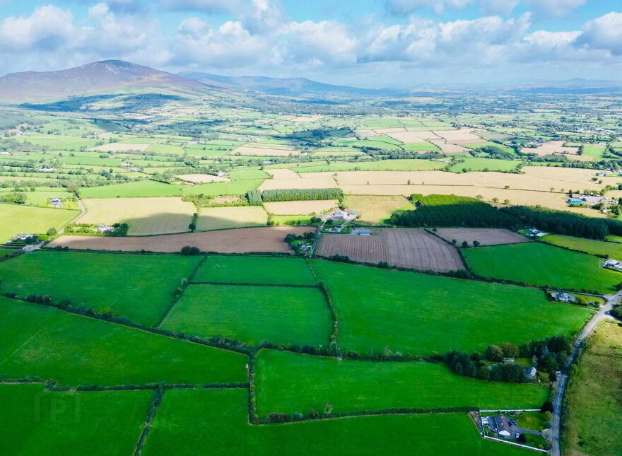 Monamolin, Rathnure, Y21T253