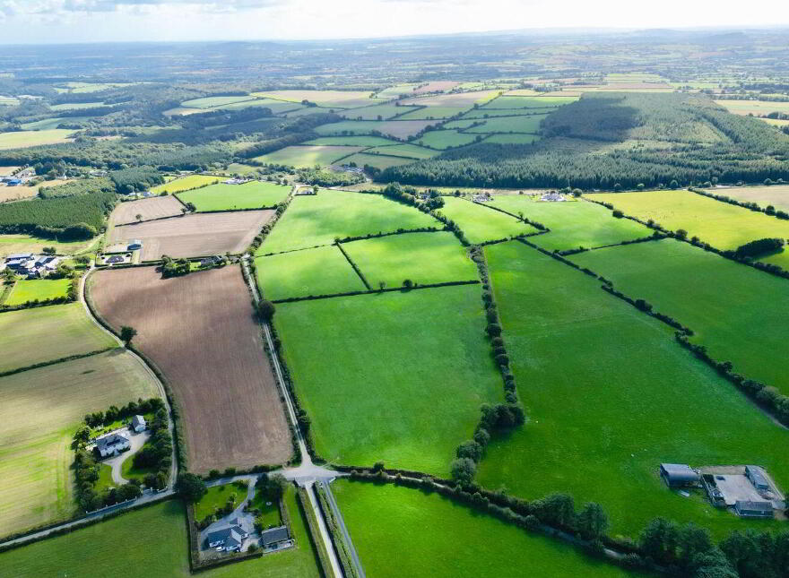 Monamolin, Rathnure, Y21T253
