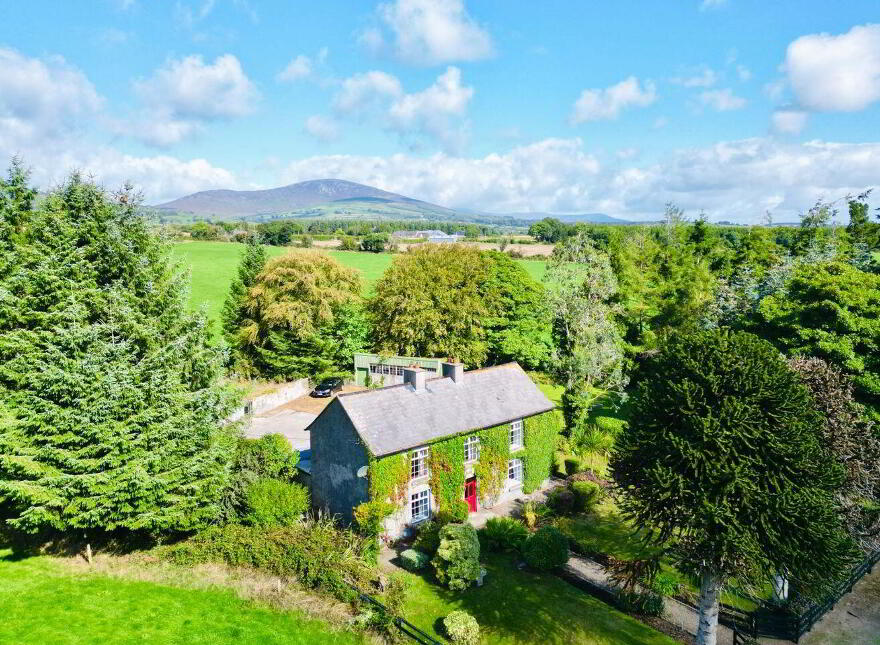 Monamolin, Rathnure, Y21T253