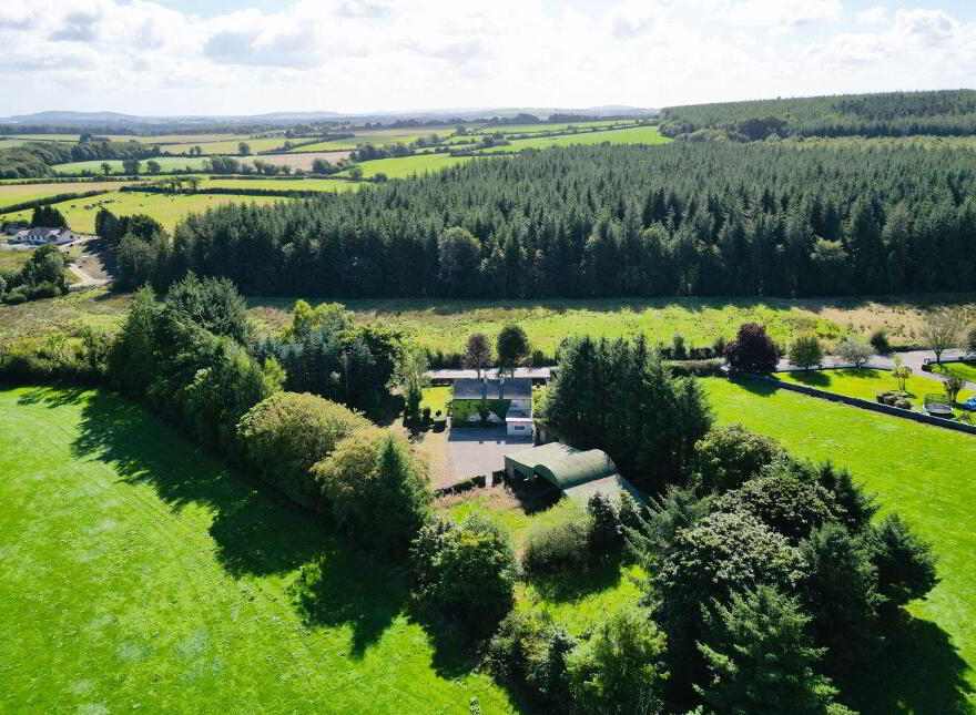 Monamolin, Rathnure, Y21T253