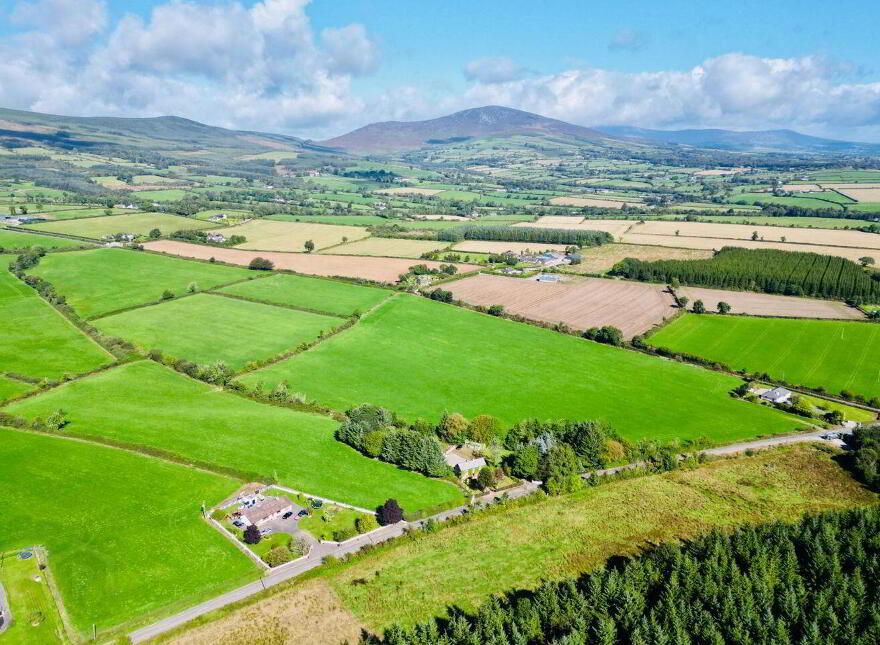 Monamolin, Rathnure, Y21T253