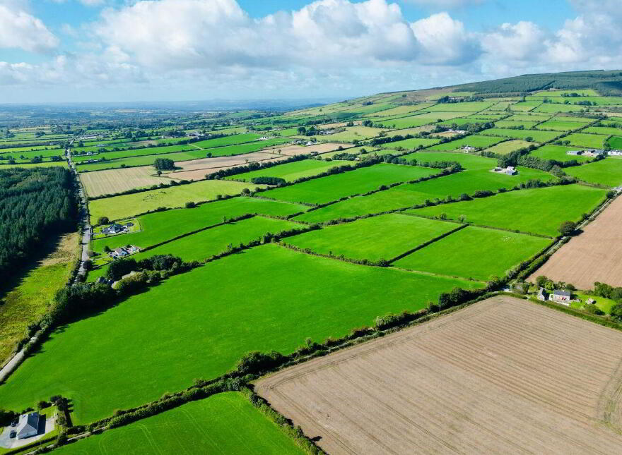 Monamolin, Rathnure, Y21T253