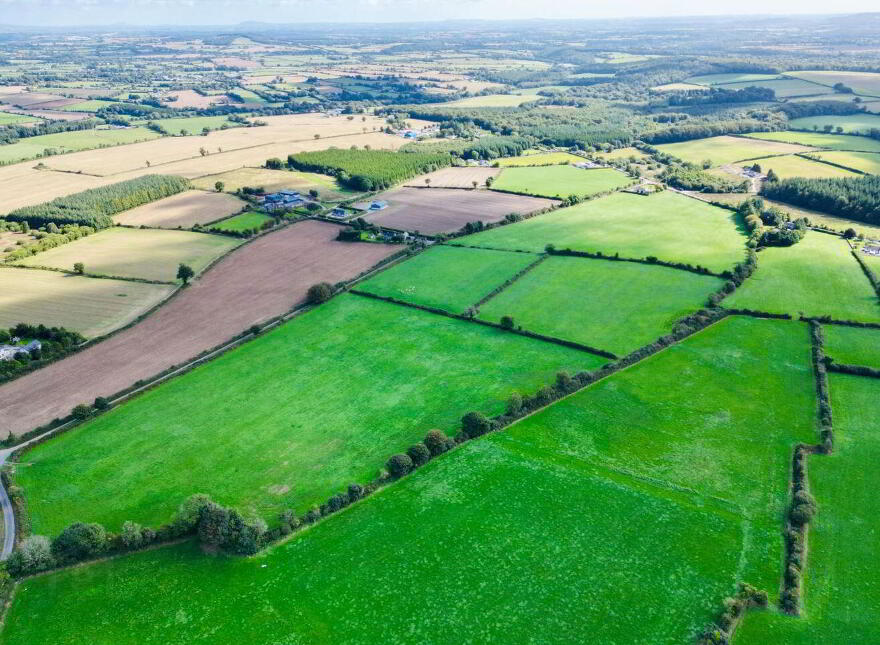 Monamolin, Rathnure, Y21T253