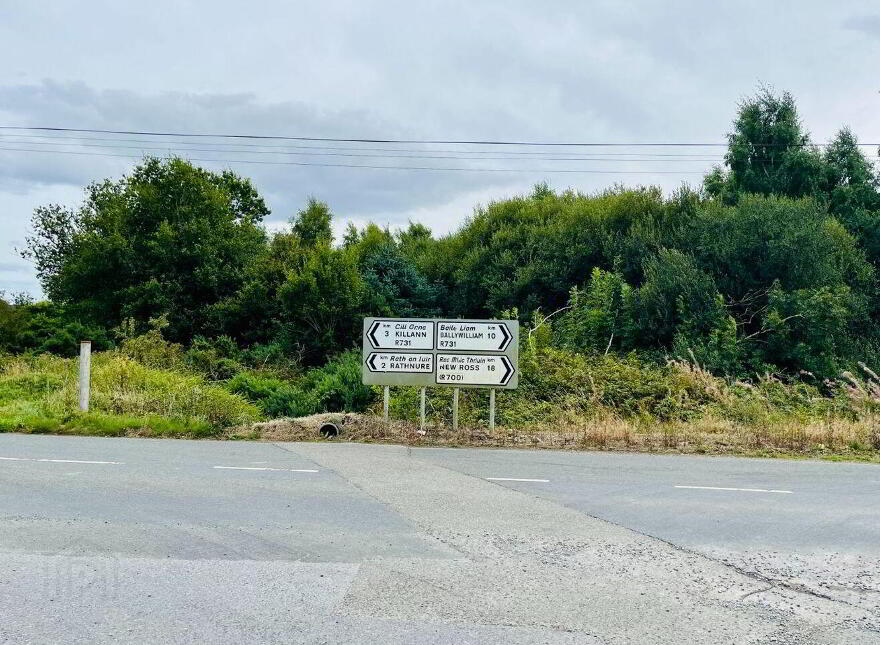 Monamolin, Rathnure, Y21T253