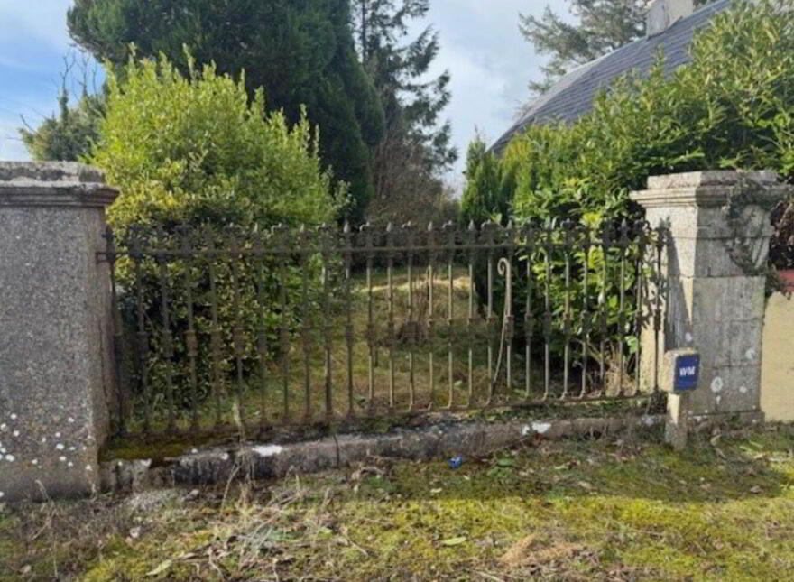 Tooree, Ballinasloe (Cappatagle), Rooaun, H53Y7T1
