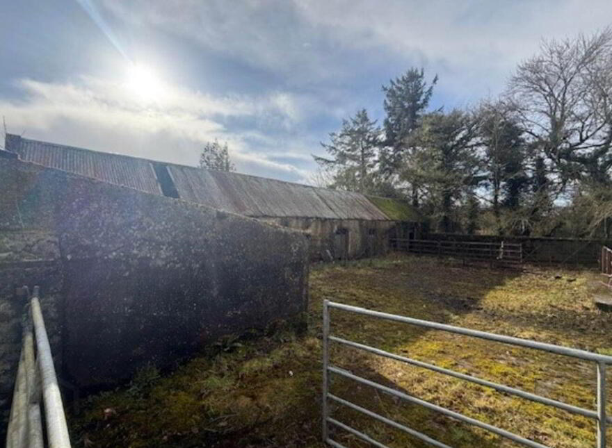 Tooree, Ballinasloe (Cappatagle), Rooaun, H53Y7T1