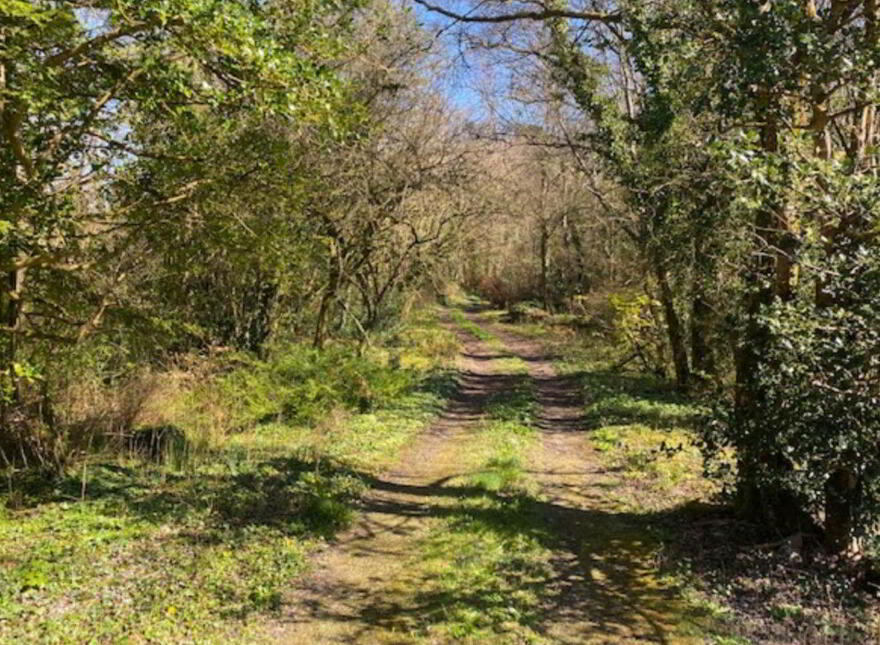 Cregmore, Ardrahan, H91P7WC