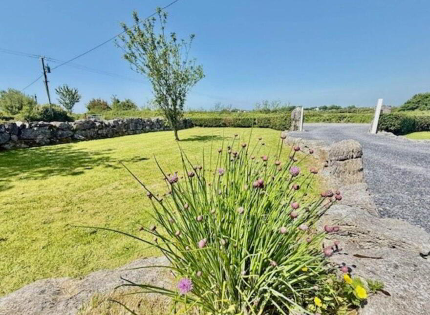 Mulroog West, Ballinderren, Kilcolgan, H91T2VE