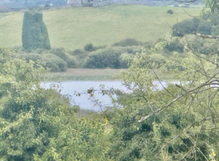 Roxton, Corofin, V95T9K7