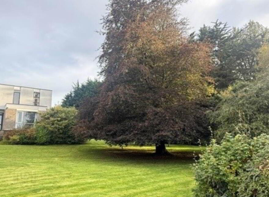 Glenbrack Road, Gort, H91D52H